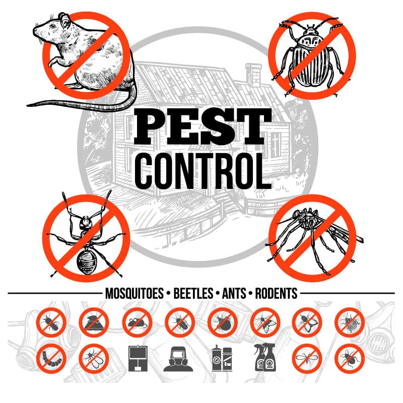 Pest Control Tips